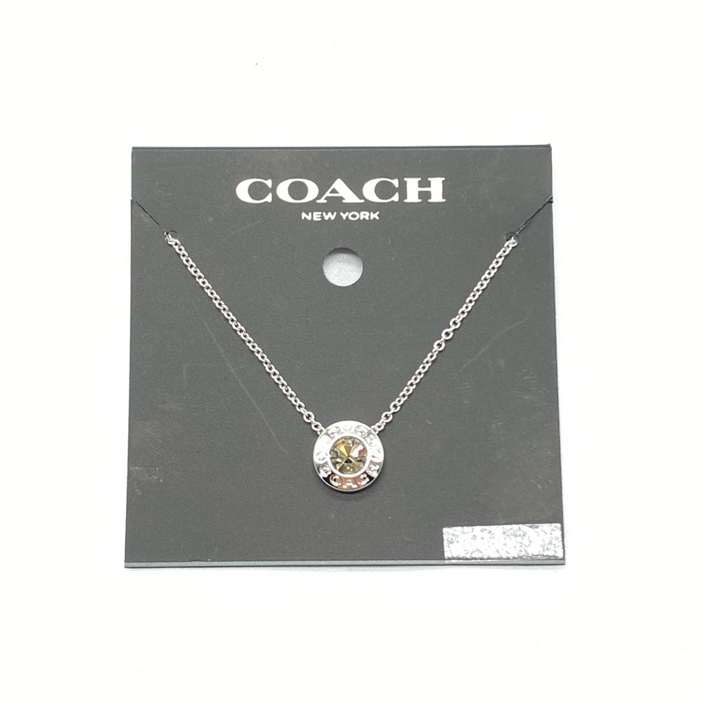 Open Circle Stone Necklace